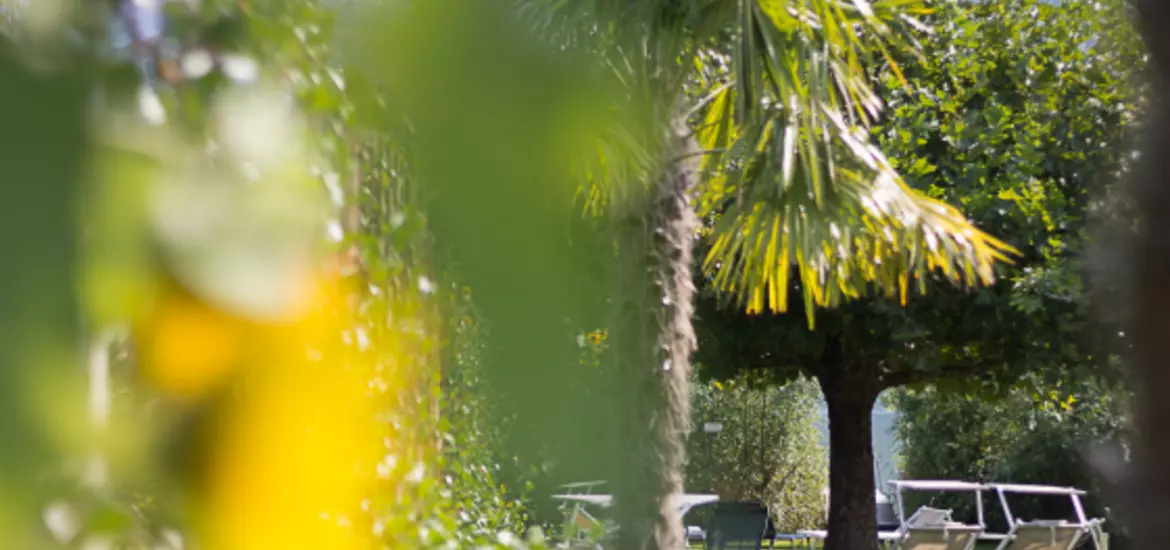 Angebot 2
